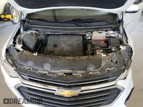2019 Chevrolet Traverse LT z VIN 1GNERHKW1KJ185773, wystawiony jako Copart lot #66623455 z przebiegiem 100 512 mil mil oraz Szkoda całkowita • Salvage title. Historia ofert i sprzedaży dostępna na DreamBid. Obrazek 12.