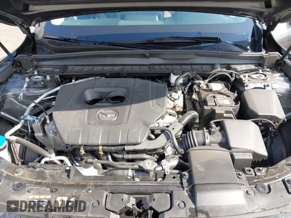 ✅ 2025 Mazda CX-50 S Premium • VIN: 7MMVABDM3SN313271 • Lot: 42326187. Wystawiony na IAAI z przebiegiem 5 357 mil. Bezpłatny archiwum sprzedaży aukcyjnych z USA i szczegółowy raport historii pojazdu na DreamBid. Zdjęcie 10.