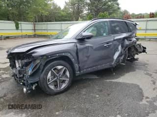 2025 Hyundai Tucson SEL Convenience с VIN KM8JCDD11SU264325, выставлен на аукционе Copart как лот 61661825 с пробегом Не указан миль и Чистый • Clean title. История ставок и продаж доступна на DreamBid. Изображение 1.
