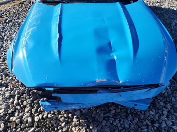 ✅ 2017 Ford Mustang V6 • VIN: 1FA6P8AM9H5311873 • Lot: 86727355. Listed on Copart with 86,010 mi. Free auction sales archive from the USA and detailed vehicle history report at DreamBid. Image 11.