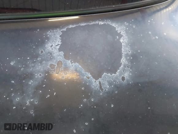 ✅ 2001 Jaguar S-Type V6 • VIN: SAJDA01N31FL96112 • Lot: 42045202. Wystawiony na IAAI z przebiegiem 264 076 mil. Bezpłatny archiwum sprzedaży aukcyjnych z USA i szczegółowy raport historii pojazdu na DreamBid. Zdjęcie 6.