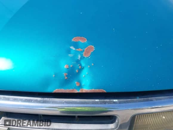 1995 Chevrolet Blazer z VIN 1GNCS13W5S2194195, wystawiony jako IAAI lot #42956665 z przebiegiem 272 985 mil mil oraz . Historia ofert i sprzedaży dostępna na DreamBid. Obrazek 6.