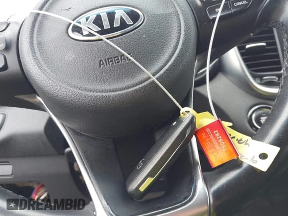✅ 2017 Kia Sorento EX • VIN: 5XYPH4A50HG202707 • Лот: 43756406. Опубликован ранее на IAAI с пробегом 116 274 миль. Бесплатный доступ к архиву аукционных продаж из США и подробный отчёт об истории автомобиля на DreamBid. Изображение 11.