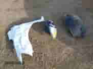 2016 Chevrolet Sonic LT с VIN 1G1JC6SB0G4167127, выставлен на аукционе IAAI как лот 42746825 с пробегом 55 198 миль миль и . История ставок и продаж доступна на DreamBid. Изображение 12.