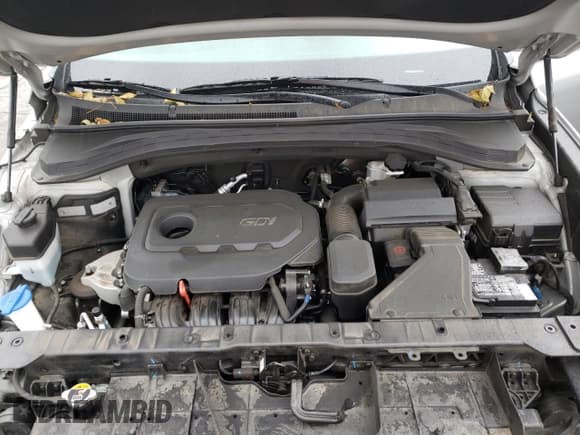 ✅ 2020 Hyundai Santa Fe SE • VIN: 5NMS23AD3LH252044 • Lot: 73371542. Wystawiony na Copart z przebiegiem 19 978 mil. Bezpłatny archiwum sprzedaży aukcyjnych z USA i szczegółowy raport historii pojazdu na DreamBid. Zdjęcie 13.