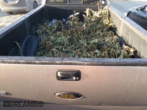 ✅ 2006 Ford F-150 XL • VIN: 1FTRF14WX6KB37907 • Lot: 76705714. Wystawiony na Copart z przebiegiem 722 973 mil. Bezpłatny archiwum sprzedaży aukcyjnych z USA i szczegółowy raport historii pojazdu na DreamBid. Zdjęcie 10.