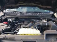 ✅ 2025 Ford F-150 XL • VIN: 1FTMF1L54SKE05427 • Lot: 43426438. Wystawiony na IAAI z przebiegiem 6 107 mil. Bezpłatny archiwum sprzedaży aukcyjnych z USA i szczegółowy raport historii pojazdu na DreamBid. Zdjęcie 10.