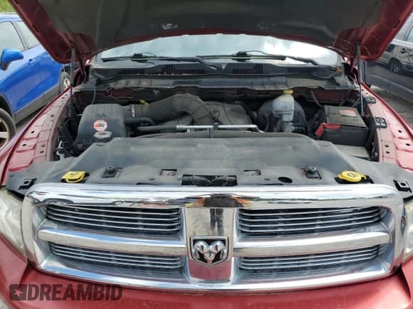 ✅ 2010 Dodge 1500 SLT • VIN: 1D7RB1GT4AS218378 • Lot: 57312785. Wystawiony na Copart z przebiegiem 81 417 mil. Bezpłatny archiwum sprzedaży aukcyjnych z USA i szczegółowy raport historii pojazdu na DreamBid. Zdjęcie 11.