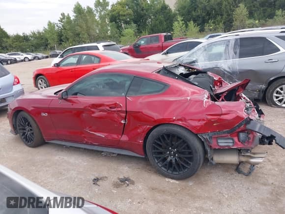 ✅ 2019 Ford Mustang GT Premium • VIN: 1FA6P8CF2K5163541 • Lot: 43174731. Wystawiony na IAAI z przebiegiem 105 898 mil. Bezpłatny archiwum sprzedaży aukcyjnych z USA i szczegółowy raport historii pojazdu na DreamBid. Zdjęcie 14.