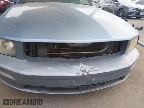 ✅ 2008 Ford Mustang GT Deluxe • VIN: 1ZVHT82H785132857 • Lot: 43208213. Listed on IAAI with 143,146 mi. Free auction sales archive from the USA and detailed vehicle history report at DreamBid. Image 18.