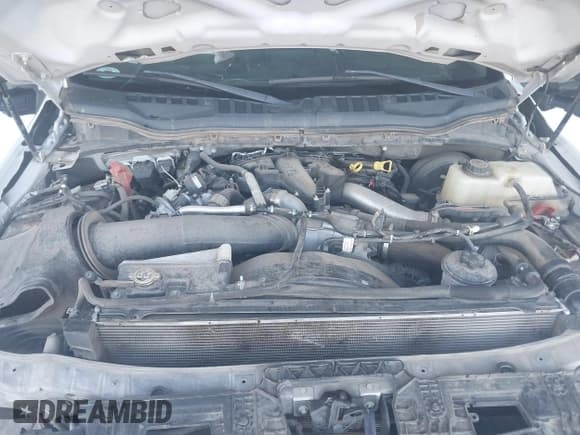 ✅ 2019 Ford F-250 XL • VIN: 1FT7W2BTXKED37703 • Lot: 40849443. Listed on IAAI with 150,618 mi. Free auction sales archive from the USA and detailed vehicle history report at DreamBid. Image 10.