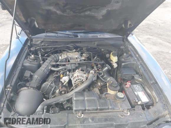 ✅ 2000 Ford Mustang GT • VIN: 1FAFP42X1YF145778 • Lot: 39725645. Listed on IAAI with 146,260 mi. Free auction sales archive from the USA and detailed vehicle history report at DreamBid. Image 10.