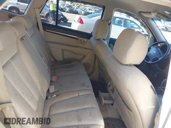 2007 Hyundai Santa Fe GLS z VIN 5NMSG73D17H033983, wystawiony jako IAAI lot #43612677 z przebiegiem 146 432 mil mil oraz . Historia ofert i sprzedaży dostępna na DreamBid. Obrazek 8.