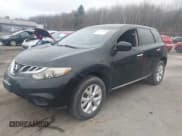 ✅ 2013 Nissan Murano SL • VIN: JN8AZ1MW0DW311529 • Lot: 43589771. Listed on IAAI with 178,492 mi. Free auction sales archive from the USA and detailed vehicle history report at DreamBid. Image 2.