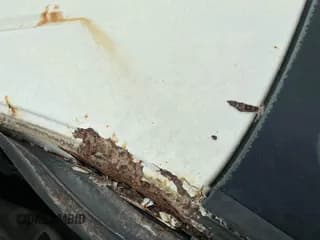 ✅ 2009 Chevrolet Silverado 1500 LS • VIN: 1GCEK19C29Z211616 • Lot: 42244847. Listed on IAAI with Not provided. Free auction sales archive from the USA and detailed vehicle history report at DreamBid. Image 1.