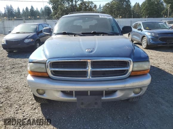 ✅ 2002 Dodge Durango SLT • VIN: 1B4HS48N02F150790 • Lot: 81641895. Listed on Copart with 248,477 mi. Free auction sales archive from the USA and detailed vehicle history report at DreamBid. Image 5.