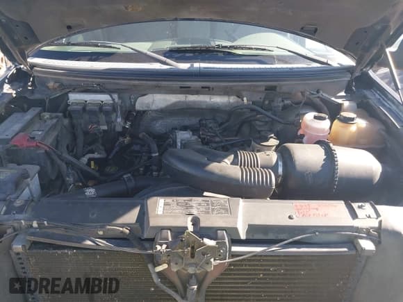 ✅ 2007 Ford F-150 XLT • VIN: 1FTRW12W97KC76981 • Lot: 43580564. Wystawiony na IAAI z przebiegiem 225 091 mil. Bezpłatny archiwum sprzedaży aukcyjnych z USA i szczegółowy raport historii pojazdu na DreamBid. Zdjęcie 10.