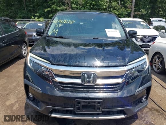 ✅ 2019 Honda Pilot EX-L • VIN: 5FNYF6H50KB030446 • Лот: 42797678. Опубликован ранее на IAAI с пробегом 71 345 миль. Бесплатный доступ к архиву аукционных продаж из США и подробный отчёт об истории автомобиля на DreamBid. Изображение 12.
