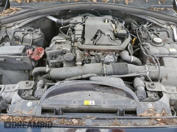 ✅ 2019 Jaguar F-Pace 25t • VIN: SADCS2FX5KA391378 • Lot: 62918735. Listed on Copart with 107,912 mi. Free auction sales archive from the USA and detailed vehicle history report at DreamBid. Image 12.