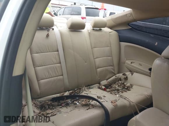 ✅ 2011 Honda Accord EX-L • VIN: 1HGCS2B82BA003664 • Лот: 42621826. Опубликован ранее на IAAI с пробегом 86 075 миль. Бесплатный доступ к архиву аукционных продаж из США и подробный отчёт об истории автомобиля на DreamBid. Изображение 8.