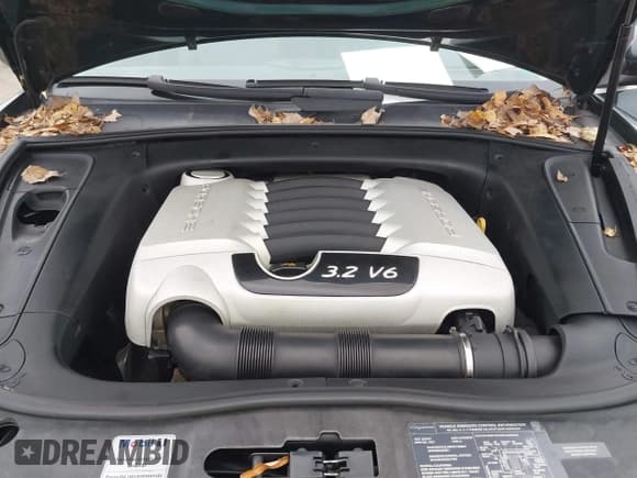 ✅ 2005 Porsche Cayenne • VIN: WP1AA29P75LA24359 • Lot: 43761331. Listed on IAAI with 274,217 mi. Free auction sales archive from the USA and detailed vehicle history report at DreamBid. Image 10.