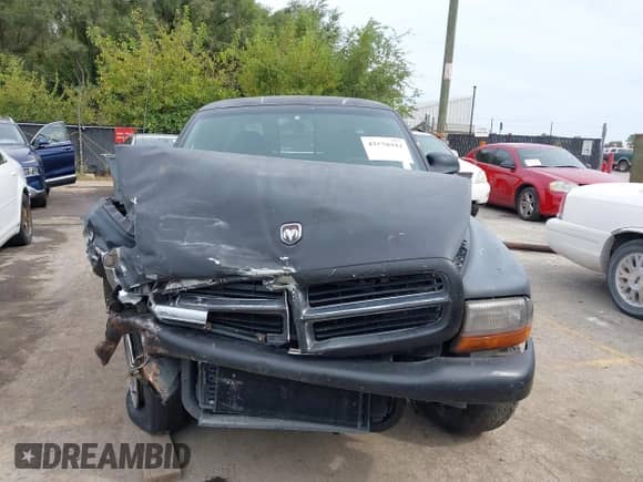 1997 Dodge Dakota with VIN 1B7GL23Y1VS158359, listed as a IAAI auction lot 43170442 with 223,703 mi miles and . Bid and sale history available at DreamBid. Image 12.