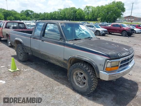 1993 Dodge Dakota with VIN 1B7GG23Y6PS282490, listed as a IAAI auction lot 42215608 with 310,010 mi miles and . Bid and sale history available at DreamBid. Image 1.