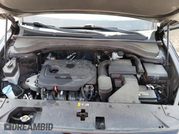 ✅ 2019 Hyundai Santa Fe SE • VIN: 5NMS23AD3KH084064 • Lot: 54173373. Wystawiony na Copart z przebiegiem 217 993 mil. Bezpłatny archiwum sprzedaży aukcyjnych z USA i szczegółowy raport historii pojazdu na DreamBid. Zdjęcie 11.