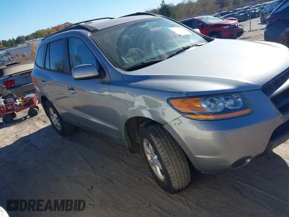 ✅ 2008 Hyundai Santa Fe GLS • VIN: 5NMSG13D88H209975 • Lot: 43730056. Wystawiony na IAAI z przebiegiem 213 008 mil. Bezpłatny archiwum sprzedaży aukcyjnych z USA i szczegółowy raport historii pojazdu na DreamBid. Zdjęcie 1.