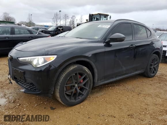 ✅ 2019 Alfa Romeo Stelvio Ti Lusso • VIN: ZASPAKBN8K7C41449 • Лот: 39007013. Опубликован ранее на Copart с пробегом 30 780 миль. Бесплатный доступ к архиву аукционных продаж из США и подробный отчёт об истории автомобиля на DreamBid. Изображение 1.