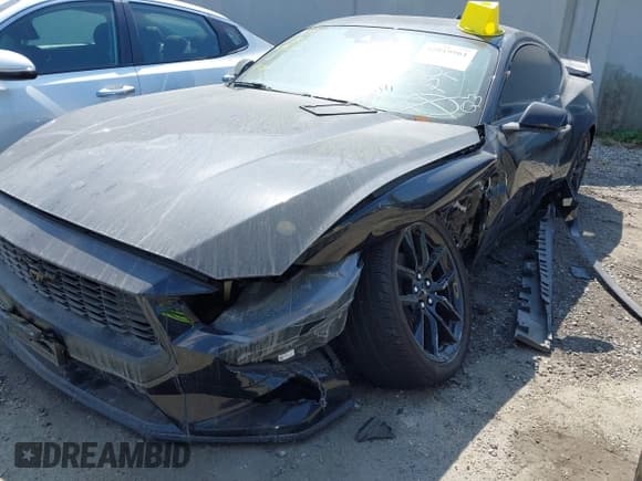 ✅ 2024 Ford Mustang EcoBoost • VIN: 1FA6P8TH2R5108583 • Lot: 42819961. Listed on IAAI with Not provided. Free auction sales archive from the USA and detailed vehicle history report at DreamBid. Image 2.