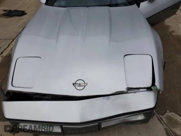 1985 Chevrolet Corvette z VIN 1G1YY0789F5106636, wystawiony jako Copart lot #86161924 z przebiegiem 105 024 mil mil oraz Szkoda całkowita • Salvage title. Historia ofert i sprzedaży dostępna na DreamBid. Obrazek 11.