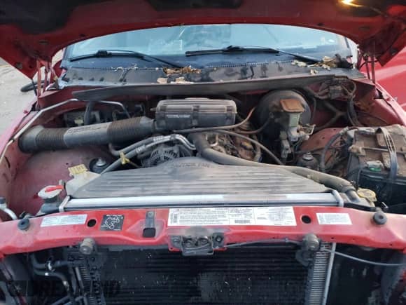 1997 Dodge 1500 с VIN 3B7HF13Y8VG792894, выставлен на аукционе Copart как лот 82026704 с пробегом 121 408 миль миль и Списание • Salvage title. История ставок и продаж доступна на DreamBid. Изображение 11.