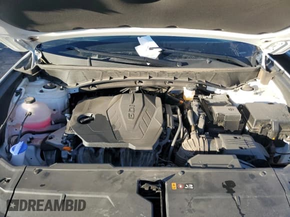 ✅ 2024 Hyundai Tucson SEL • VIN: 5NMJBCDE4RH381015 • Lot: 81188054. Wystawiony na Copart z przebiegiem 30 910 mil. Bezpłatny archiwum sprzedaży aukcyjnych z USA i szczegółowy raport historii pojazdu na DreamBid. Zdjęcie 12.