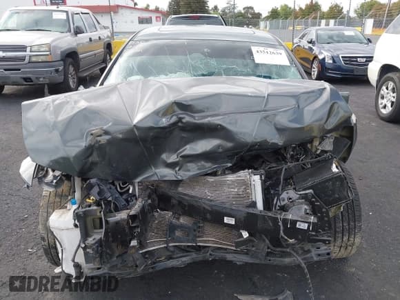 ✅ 2024 Hyundai Elantra SEL • VIN: KMHLS4DGXRU793010 • Lot: 43512639. Listed on IAAI with Not provided. Free auction sales archive from the USA and detailed vehicle history report at DreamBid. Image 12.