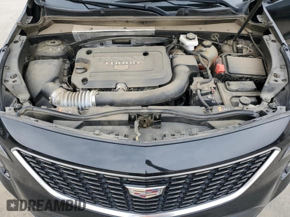✅ 2022 Cadillac XT4 FWD Luxury • VIN: 1GYAZAR42NF120533 • Lot: 43794025. Listed on Copart with 54,862 mi. Free auction sales archive from the USA and detailed vehicle history report at DreamBid. Image 12.