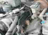 1998 Chevrolet Silverado 2500 с VIN 1GCGK29R3WE240161, выставлен на аукционе IAAI как лот 41756717 с пробегом 302 739 миль миль и . История ставок и продаж доступна на DreamBid. Изображение 12.