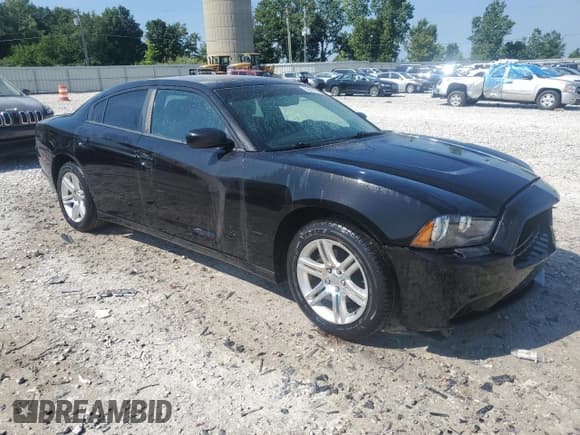 ✅ 2011 Dodge Charger Rallye • VIN: 2B3CL3CG0BH503591 • Лот: 65943165. Опубликован ранее на Copart с пробегом 156 700 миль. Бесплатный доступ к архиву аукционных продаж из США и подробный отчёт об истории автомобиля на DreamBid. Изображение 4.