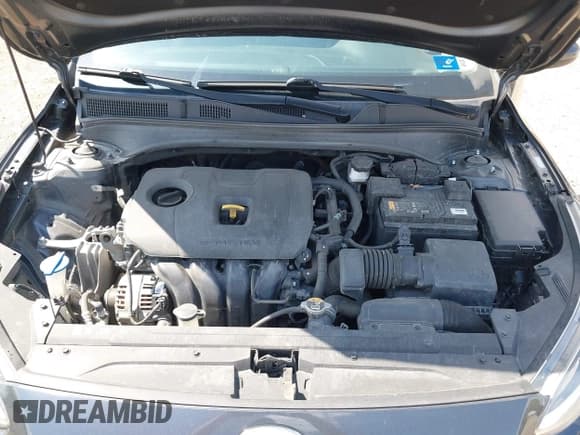 ✅ 2019 Kia Forte LXS • VIN: 3KPF24AD5KE099888 • Lot: 42279249. Listed on IAAI with 90,095 mi. Free auction sales archive from the USA and detailed vehicle history report at DreamBid. Image 10.