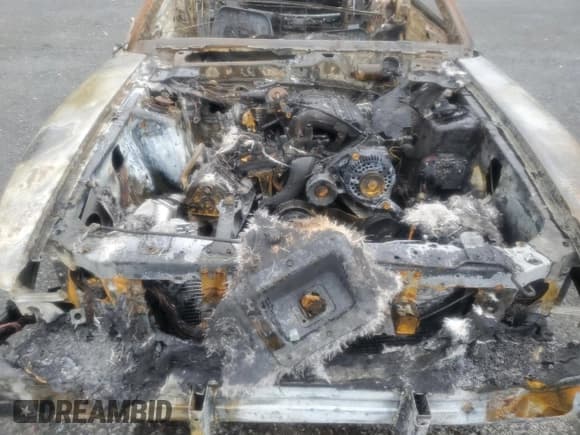 ✅ 1997 Ford Mustang • VIN: 1FALP4449VF158781 • Lot: 85751374. Listed on Copart with Not provided. Free auction sales archive from the USA and detailed vehicle history report at DreamBid. Image 11.