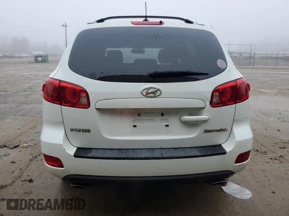 ✅ 2007 Hyundai Santa Fe SE • VIN: 5NMSH13E47H071291 • Lot: 81629814. Listed on Copart with 218,428 mi. Free auction sales archive from the USA and detailed vehicle history report at DreamBid. Image 6.