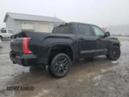 ✅ 2024 Toyota Tundra Platinum • VIN: 5TFNA5DB5RX193987 • Lot: 45086215. Listed on Copart with 8,427 mi. Free auction sales archive from the USA and detailed vehicle history report at DreamBid. Image 3.