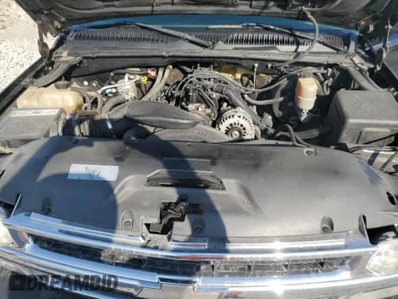 2002 Chevrolet Silverado 1500 LS with VIN 1GCEK14T32Z251491, listed as a Copart auction lot 80575465 with 470,083 mi miles and Salvage title. Bid and sale history available at DreamBid. Image 11.