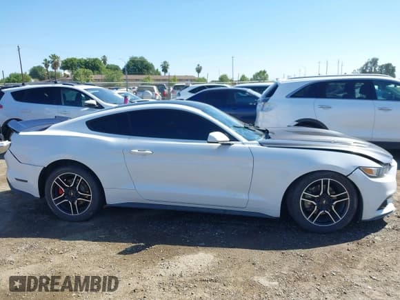 ✅ 2016 Ford Mustang EcoBoost • VIN: 1FA6P8TH3G5221133 • Lot: 42325336. Listed on IAAI with 135,065 mi. Free auction sales archive from the USA and detailed vehicle history report at DreamBid. Image 14.