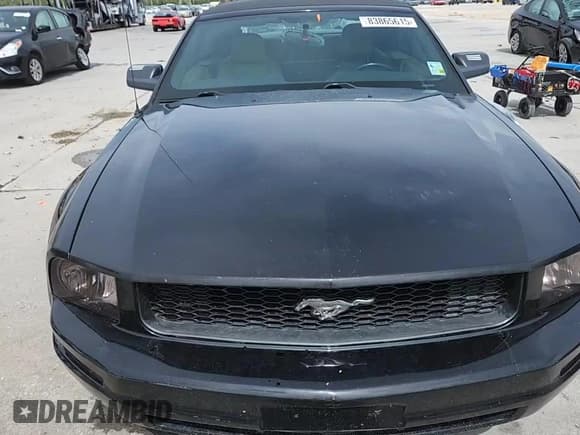 ✅ 2006 Ford Mustang Standard • VIN: 1ZVFT84N765100126 • Lot: 83865615. Listed on Copart with 153,524 mi. Free auction sales archive from the USA and detailed vehicle history report at DreamBid. Image 13.
