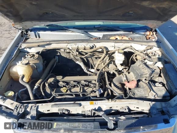 ✅ 2010 Ford Escape XLS • VIN: 1FMCU0C79AKC17106 • Лот: 43479937. Опубликован ранее на IAAI с пробегом 265 429 миль. Бесплатный доступ к архиву аукционных продаж из США и подробный отчёт об истории автомобиля на DreamBid. Изображение 10.