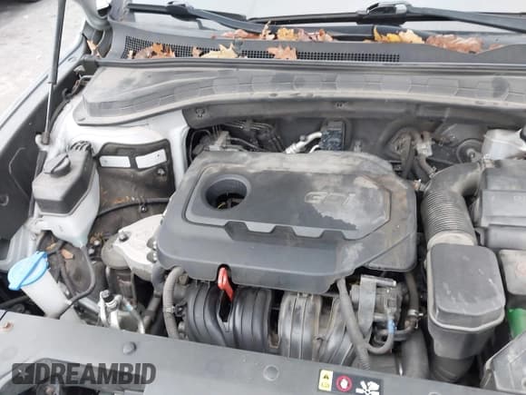 ✅ 2019 Hyundai Santa Fe SE • VIN: 5NMS2CAD7KH054274 • Lot: 43694931. Listed on IAAI with 96,329 mi. Free auction sales archive from the USA and detailed vehicle history report at DreamBid. Image 6.