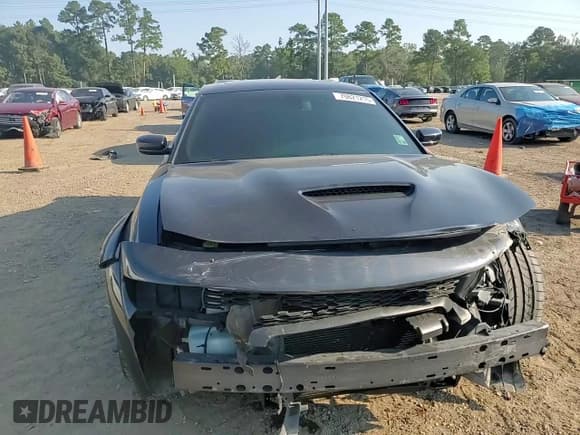 ✅ 2017 Dodge Charger R/T Scat Pack • VIN: 2C3CDXGJ3HH581885 • Lot: 70821215. Listed on Copart with 112,281 mi. Free auction sales archive from the USA and detailed vehicle history report at DreamBid. Image 13.