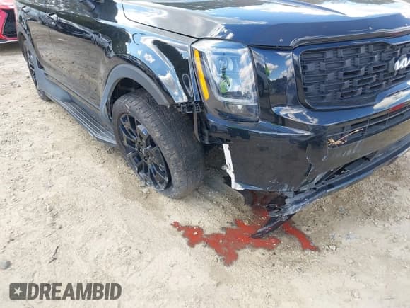✅ 2022 Kia Telluride EX • VIN: 5XYP3DHC8NG203134 • Lot: 43413722. Wystawiony na IAAI z przebiegiem 92 000 mil. Bezpłatny archiwum sprzedaży aukcyjnych z USA i szczegółowy raport historii pojazdu na DreamBid. Zdjęcie 6.