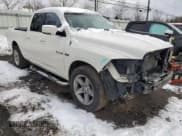 ✅ 2009 Dodge 1500 SLT • VIN: 1D3HB18T99S757859 • Lot: 44048965. Wystawiony na Copart z przebiegiem 214 715 mil. Bezpłatny archiwum sprzedaży aukcyjnych z USA i szczegółowy raport historii pojazdu na DreamBid. Zdjęcie 4.